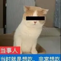 ke4d slot Tentara Pembebasan Rakyat Tiongkok memposting video penyerangan di suatu tempat dengan seorang pembom di akun resmi Weibo mereka